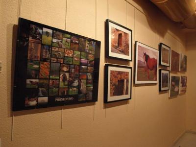 Pirineo Vivo, exposición fotográfica